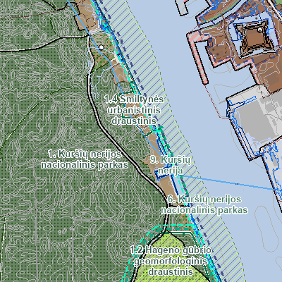 Export Image