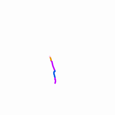 Export Image