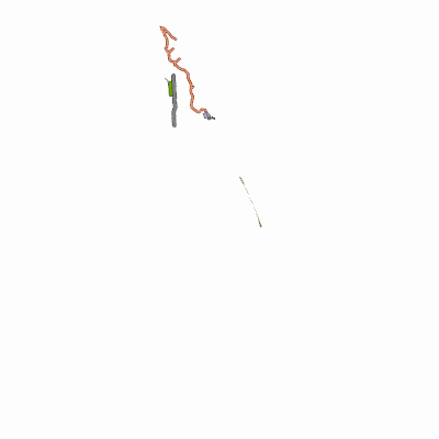 Export Image