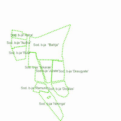 Export Image